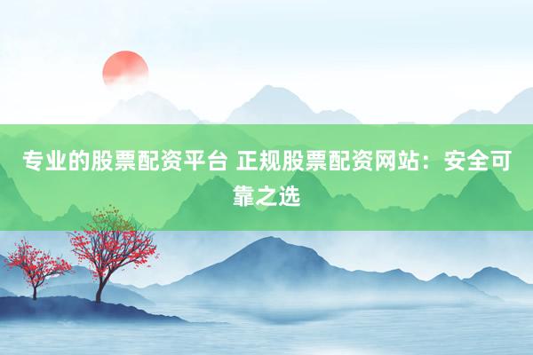 专业的股票配资平台 正规股票配资网站：安全可靠之选