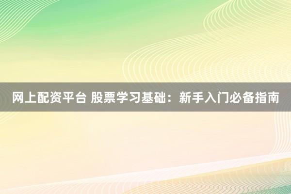 网上配资平台 股票学习基础：新手入门必备指南