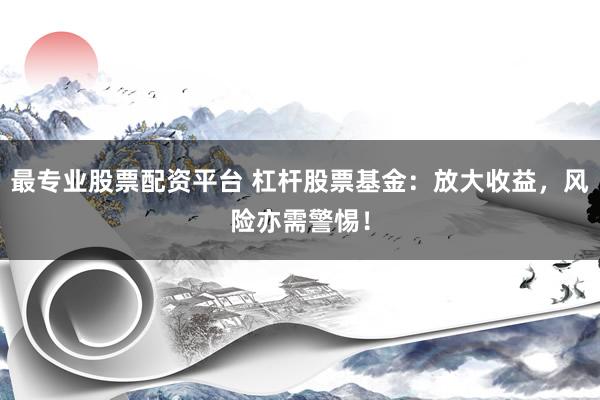 最专业股票配资平台 杠杆股票基金：放大收益，风险亦需警惕！