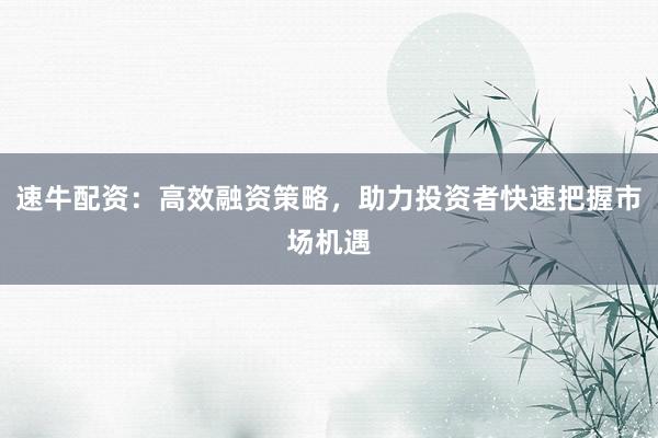 速牛配资：高效融资策略，助力投资者快速把握市场机遇