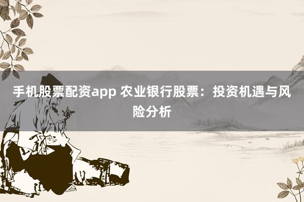 手机股票配资app 农业银行股票：投资机遇与风险分析