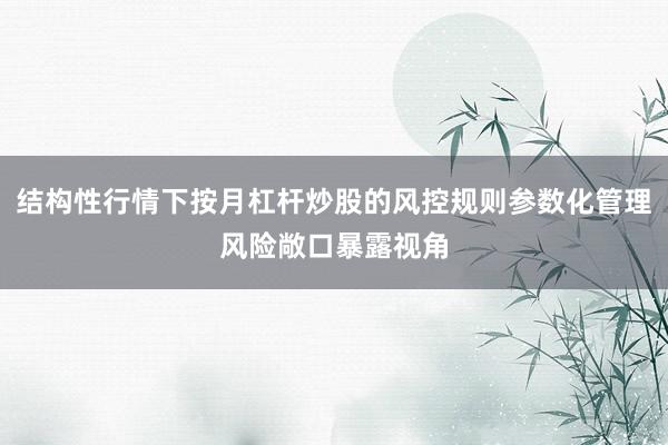 结构性行情下按月杠杆炒股的风控规则参数化管理风险敞口暴露视角
