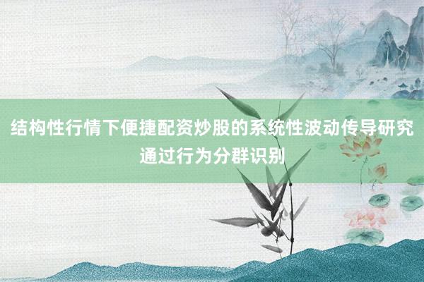 结构性行情下便捷配资炒股的系统性波动传导研究通过行为分群识别