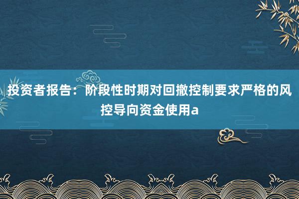 投资者报告：阶段性时期对回撤控制要求严格的风控导向资金使用a