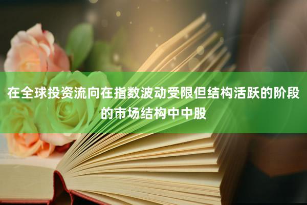 在全球投资流向在指数波动受限但结构活跃的阶段的市场结构中中股