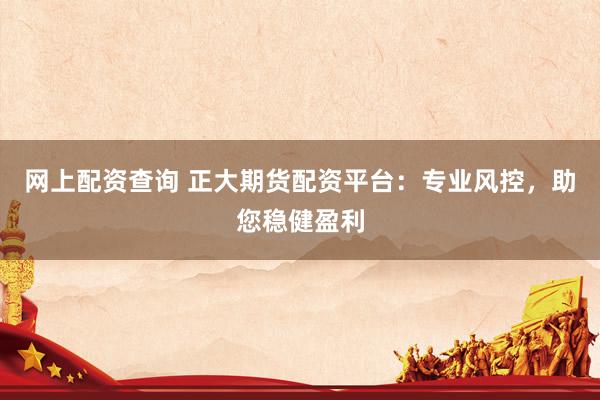 网上配资查询 正大期货配资平台：专业风控，助您稳健盈利