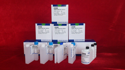 视黄醇结合蛋白测定试剂盒(免疫比浊法)_试剂盒销售信息_环球医疗器械网